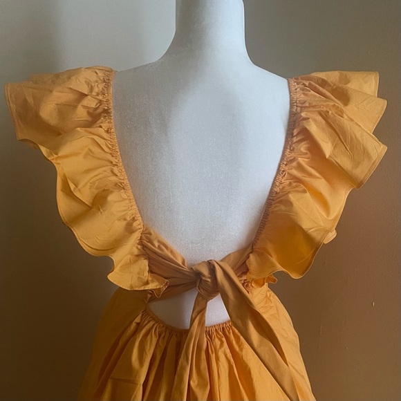 SHOWPO Raiza Ruffle Sleeve Tie Back Plunge Mini Dress - Picture 9 of 13